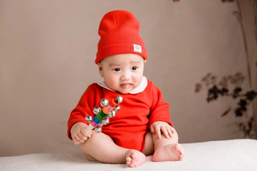 来宾宝宝餐椅哪种最实用 来宾宝宝餐椅哪种最实用